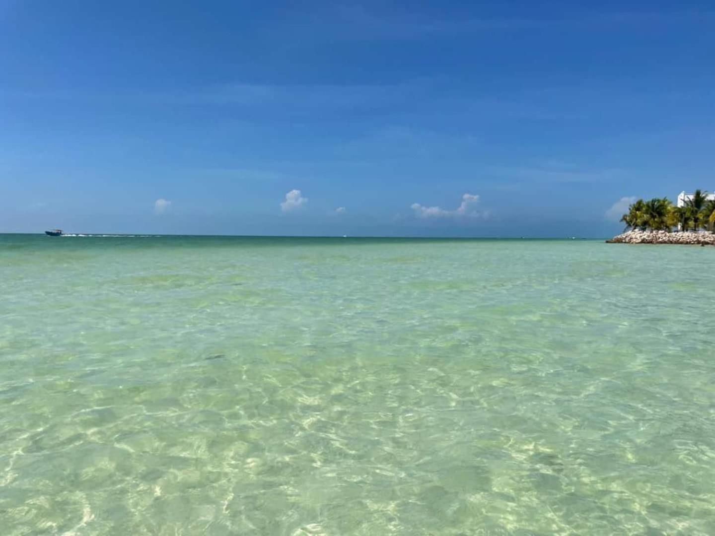 Pool View Loft Steps From The Ocean In Punta Cocos - C101 Hotel Ilha Holbox Exterior foto