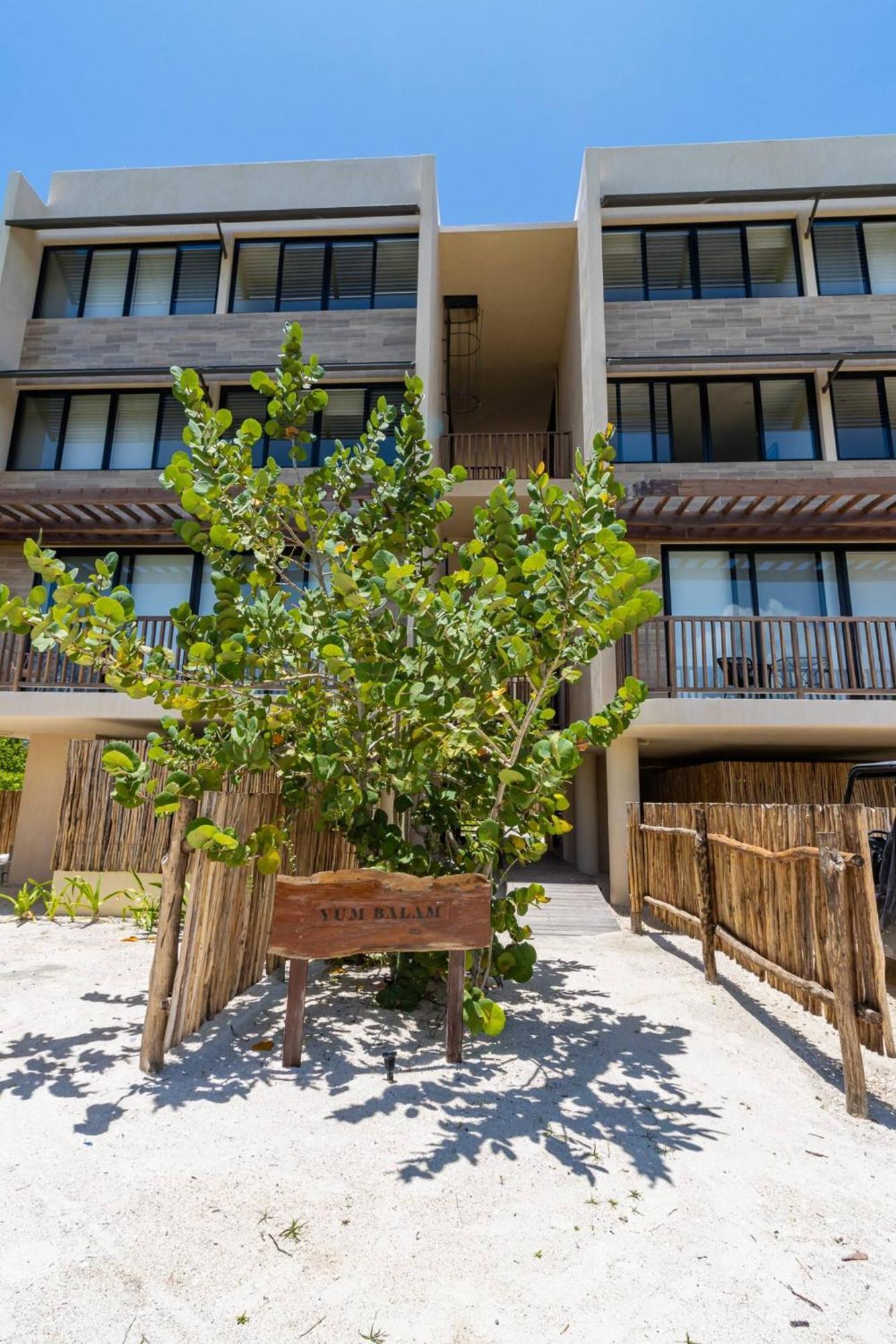 Pool View Loft Steps From The Ocean In Punta Cocos - C101 Hotel Ilha Holbox Exterior foto